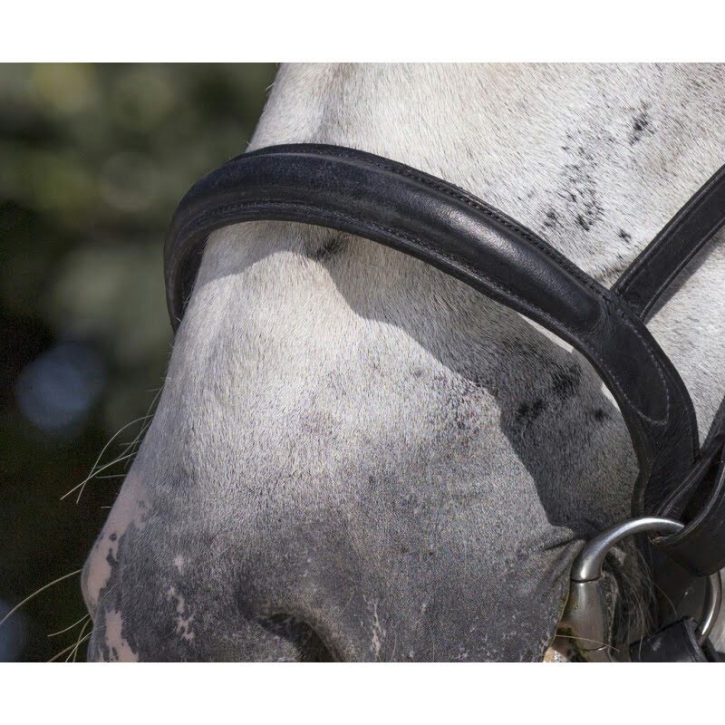 Bridon De Jeu Pour Cheval à Bascule / Cheval En Bois PFIFF - Taille Réglable, Avec Rênes, Détails Brillants - Rouge
