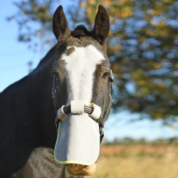 Protection Solaire De Nez