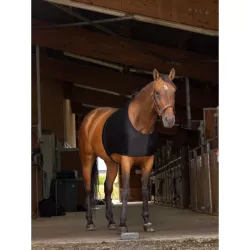 Protection d'épaules-cheval