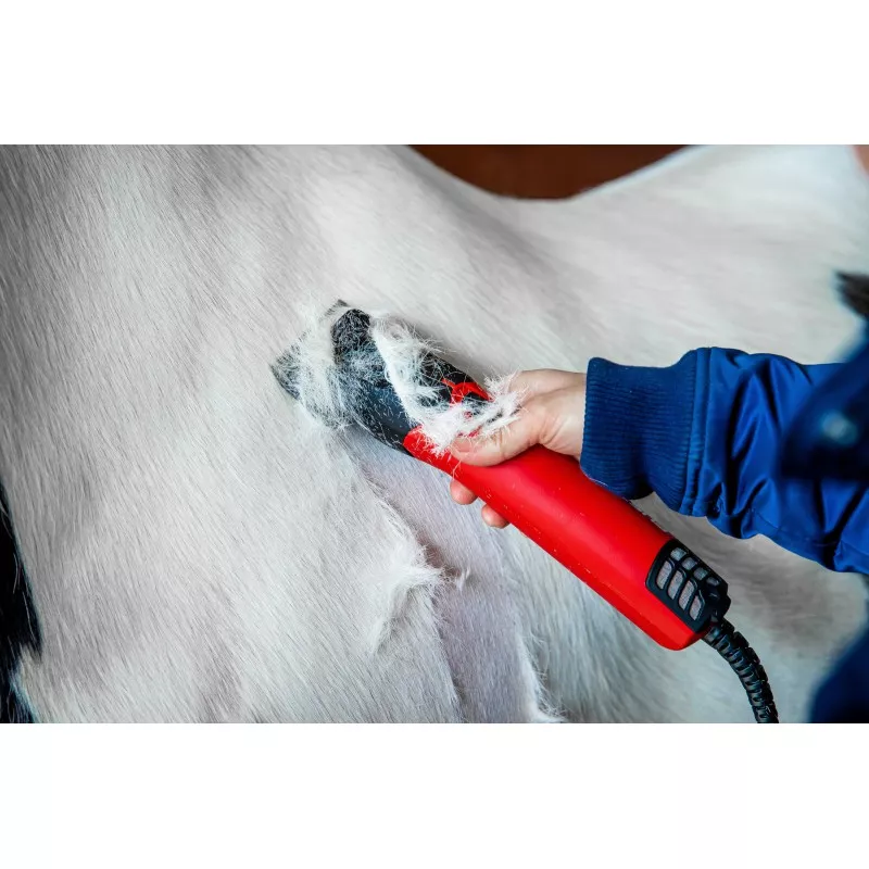 Tondeuse Lister Fusion