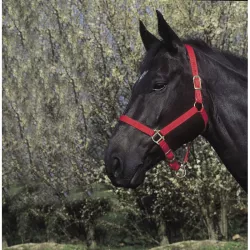 Licol riding world rouge