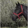 Licol riding world rouge