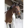 Licol riding world noir