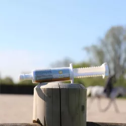 aliment complémentaire red booster flash